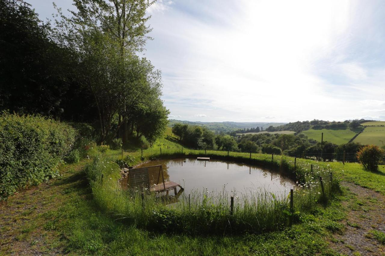 Upper Gelli Luxury Holiday Lodge, Converted Dairy & Cosy Shepherds Huts Уэлшпул Экстерьер фото