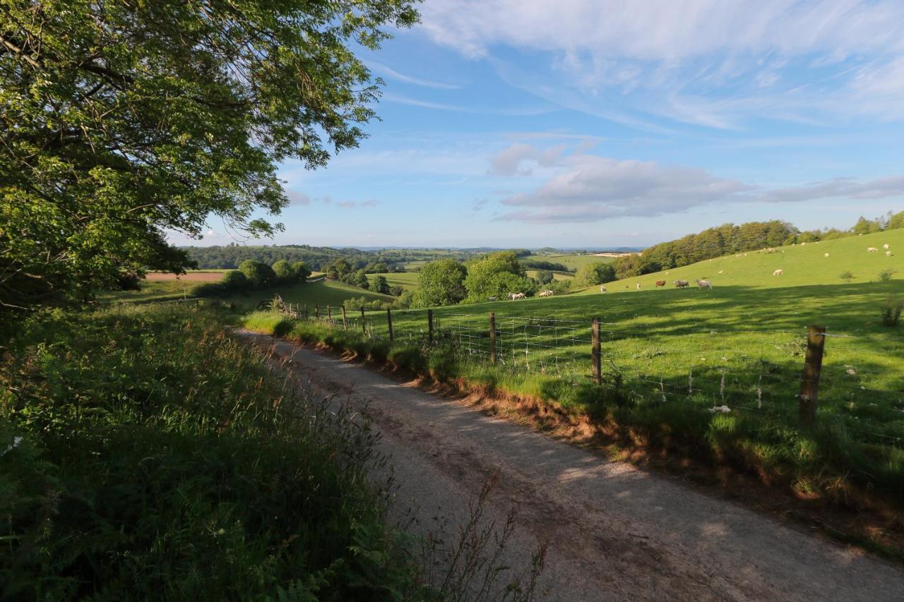 Upper Gelli Luxury Holiday Lodge, Converted Dairy & Cosy Shepherds Huts Уэлшпул Экстерьер фото